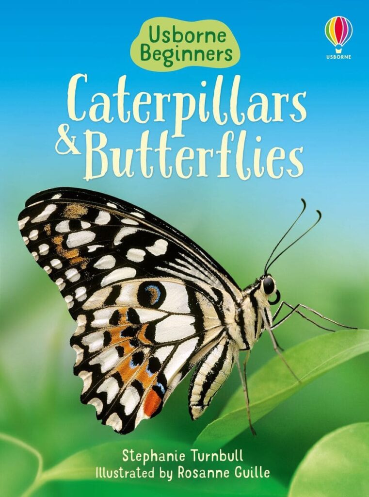 Caterpillars and Butterflies Usborne