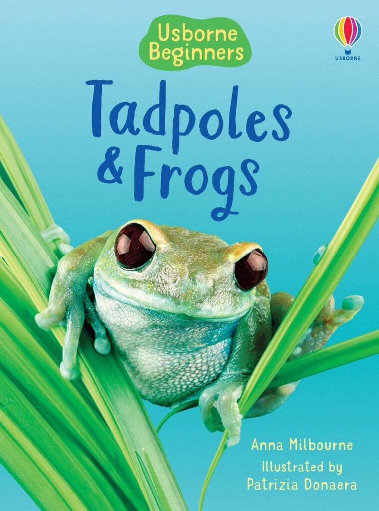 Tadpoles and Frogs Usborne