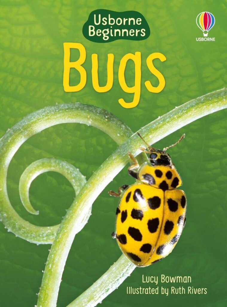Bugs Usborne