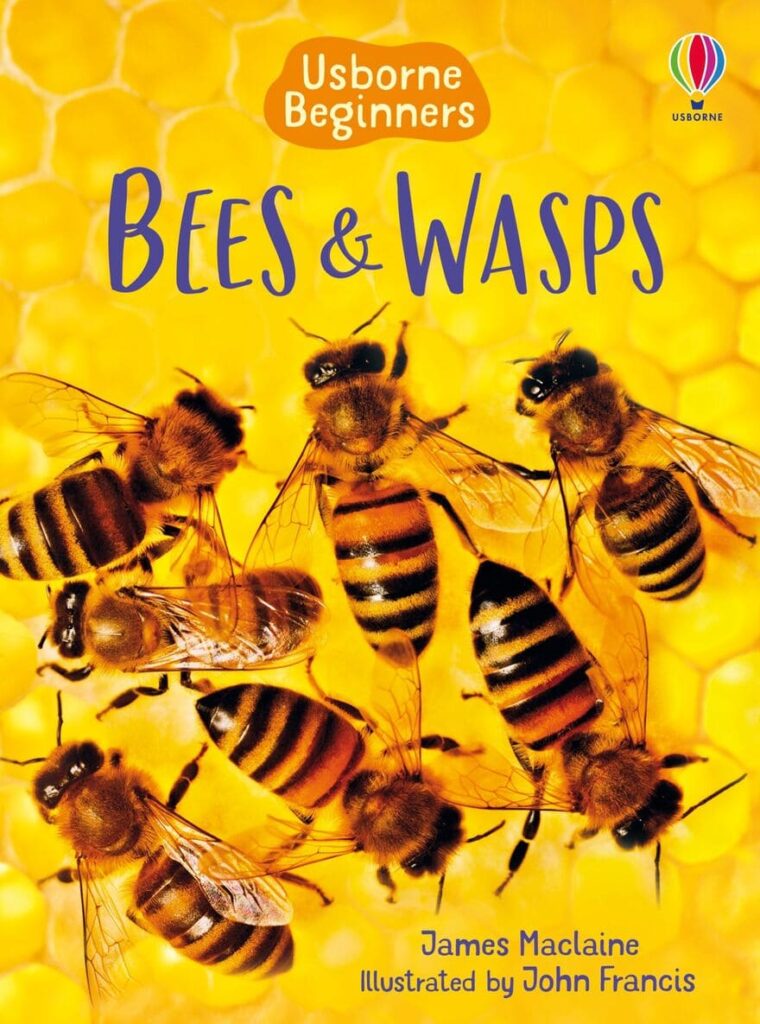 Bees and Wasps Usborne